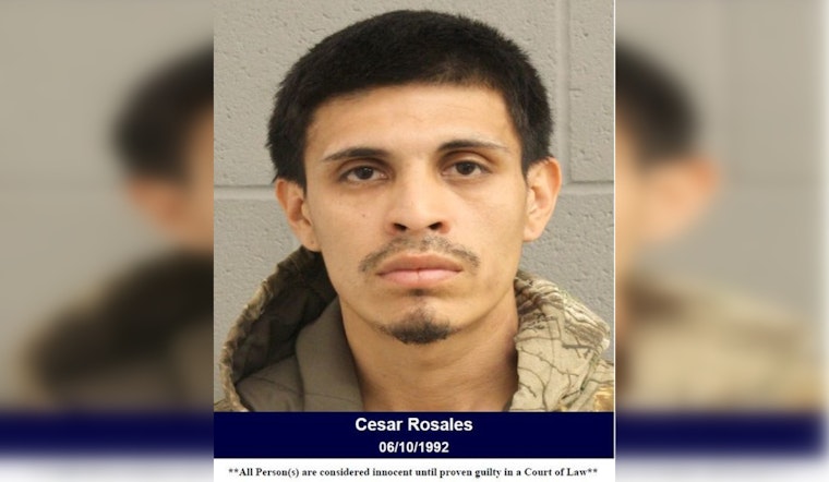 Harris County Deputies Arrest Man with Felony Warrant During Traffic Stop on Skybird Drive