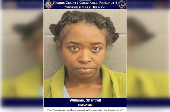 Harris County Deputies Arrest Suspected Porch Pirate in Siros Isle Community