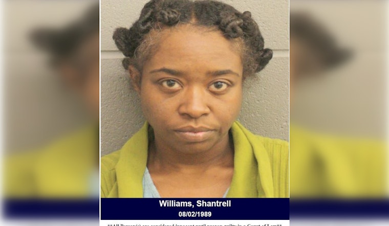 Harris County Deputies Arrest Suspected Porch Pirate in Siros Isle Community