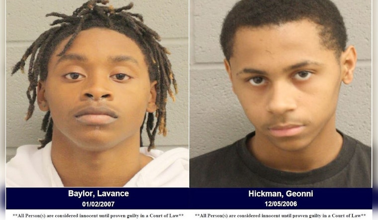 Harris County Deputies Arrest Two Suspects for Theft and Evading Arrest in Vape Pen Heist