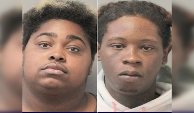 Harris County Deputies Quickly Arrest Suspects, Recover Stolen Electronics, and Charge Them with Theft