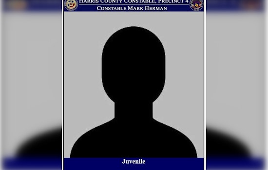Harris County Juveniles Charged with Assault on Officer after Vehicular Chase and Burglary Spree