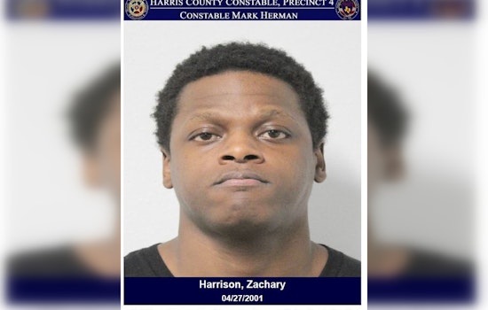 Harris County Man Arrested for Alleged Use of BB Gun in Attempted Apartment Seizure