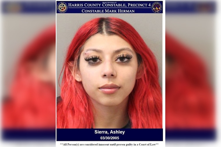 Harris County Woman Charged with Assault After Disturbance on Sixpence Lane