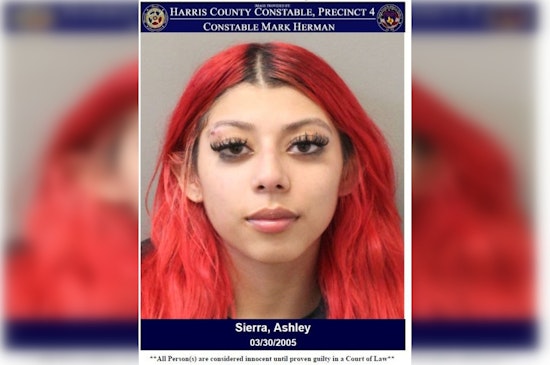 Harris County Woman Charged with Assault After Disturbance on Sixpence Lane