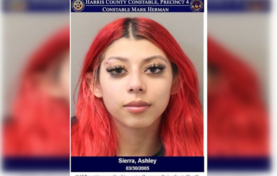 Harris County Woman Charged with Assault After Disturbance on Sixpence Lane