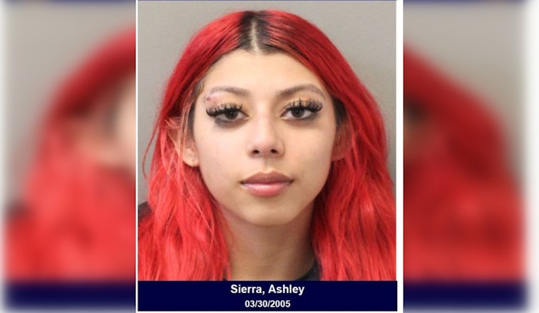 Harris County Woman Charged with Assault After Disturbance on Sixpence Lane