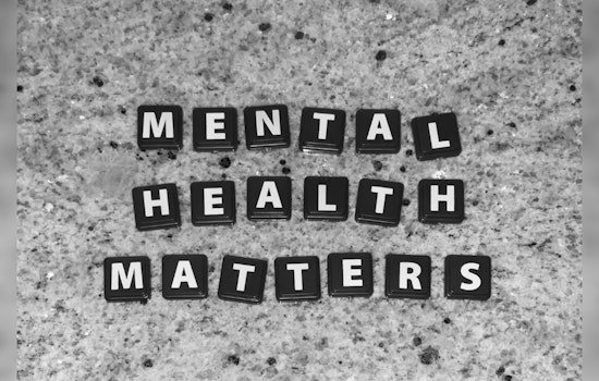 Healey-Driscoll Administration Invests in Mental Health Recovery with Grants for MA School Districts