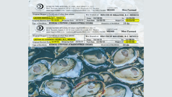 Health Officials in San Diego Issue Warnings as Norovirus Cases Climb to 69, Mexican Oysters Linked
