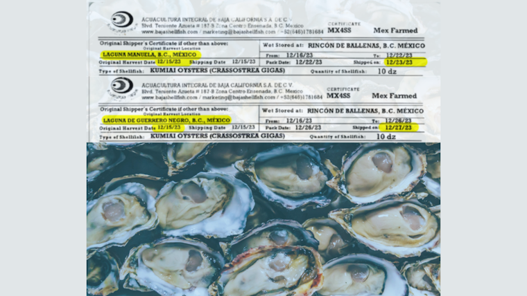 Health Officials in San Diego Issue Warnings as Norovirus Cases Climb to 69, Mexican Oysters Linked
