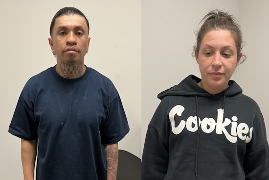 Hesperia Police Nab Suspected 'Felony Duo' in High Desert Yard Theft Spree