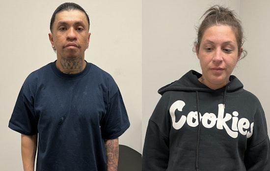 Hesperia Police Nab Suspected 'Felony Duo' in High Desert Yard Theft Spree