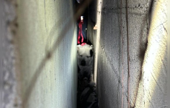 Hialeah Firefighters Carve Through Concrete to Save Dog Trapped Between Walls