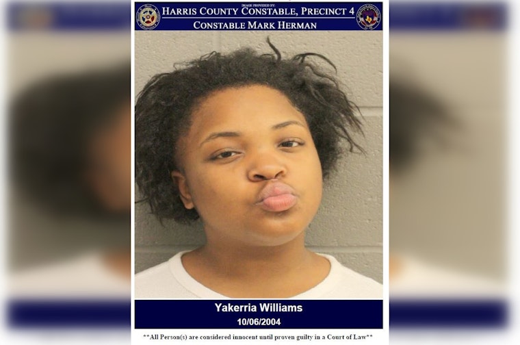 Hit-and-Run Suspect Apprehended in Houston Following Evasion and False Identity Claims