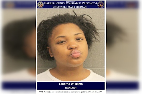 Hit-and-Run Suspect Apprehended in Houston Following Evasion and False Identity Claims