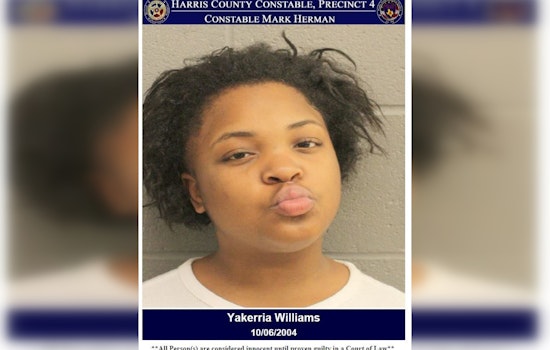 Hit-and-Run Suspect Apprehended in Houston Following Evasion and False Identity Claims
