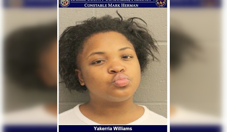 Hit-and-Run Suspect Apprehended in Houston Following Evasion and False Identity Claims