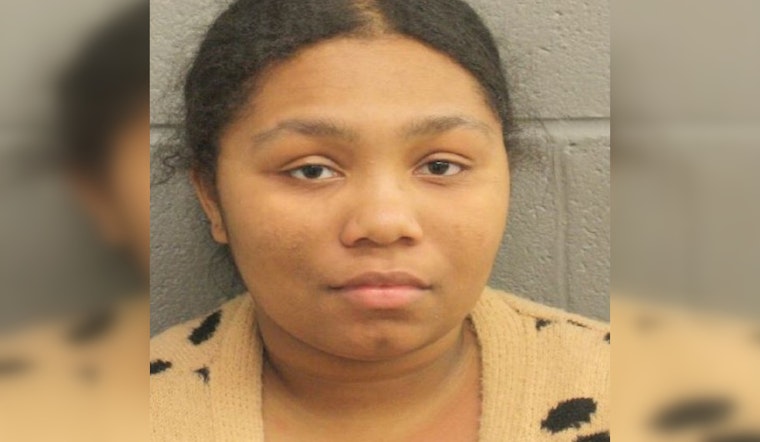 Houston Area Woman Charged with False Reporting in Hit and Run Case