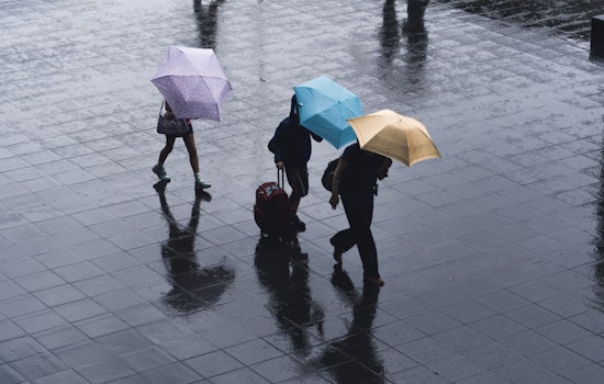 Houston Braces for Weekend Showers and Thunderstorms With High Flooding Risk