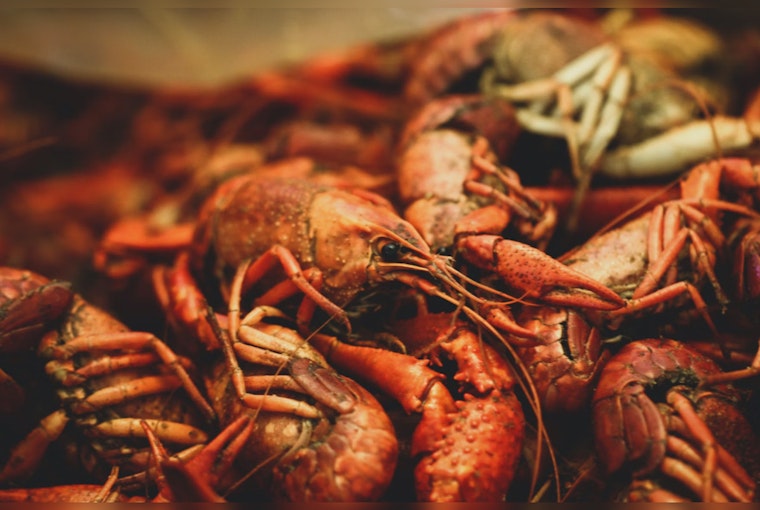 Houston Crawfish Season Delayed: Restaurants Brace for Supply Shortages and Higher Prices