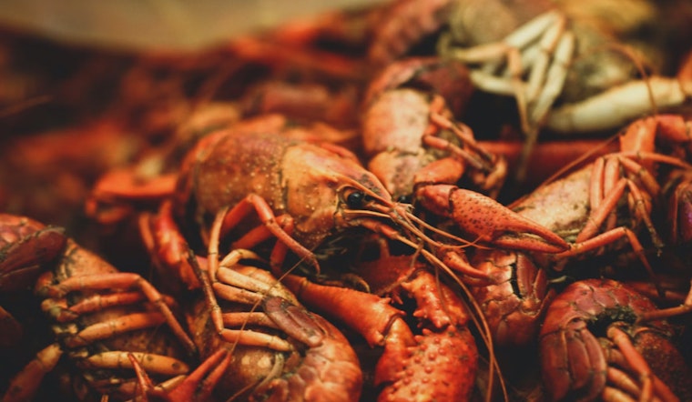 Houston Crawfish Season Delayed: Restaurants Brace for Supply Shortages and Higher Prices