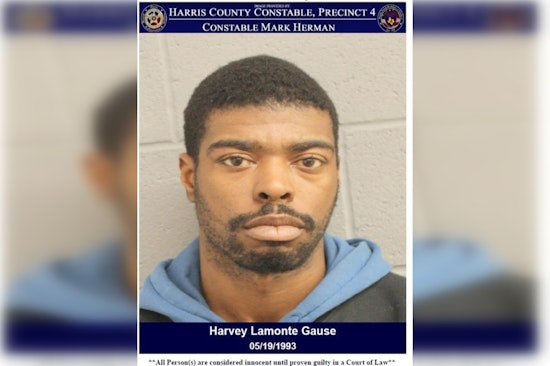 Houston Disturbance Leads Deputies to Arrest Man on Open Felony Warrant