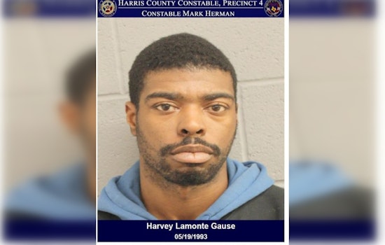 Houston Disturbance Leads Deputies to Arrest Man on Open Felony Warrant