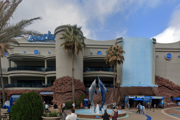Houston Downtown Aquarium Ordered to Pay $2.8 Million for Patron's Injury, Faces Safety Scrutiny