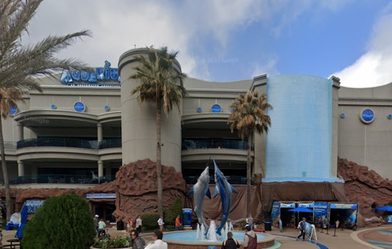 Houston Downtown Aquarium Ordered to Pay $2.8 Million for Patron's Injury, Faces Safety Scrutiny