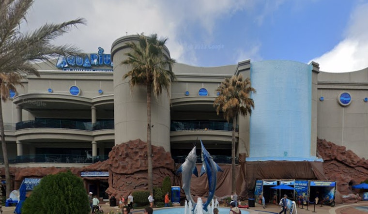 Houston Downtown Aquarium Ordered to Pay $2.8 Million for Patron's Injury, Faces Safety Scrutiny