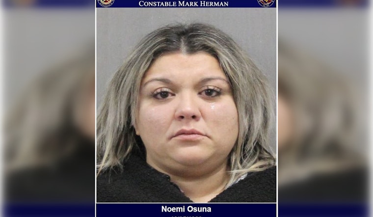 Houston Driver Charged with DWI, Unlawful Weapon Possession, and Drug Offense Following Traffic Stop