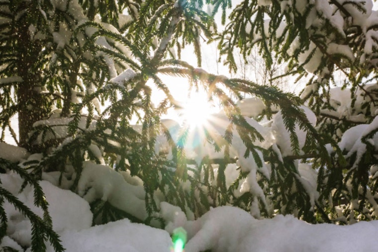 Houston Engages in a Temperature Tug-of-War with Warmth Today as a Weekend Cold Snap Looms on the Horizon