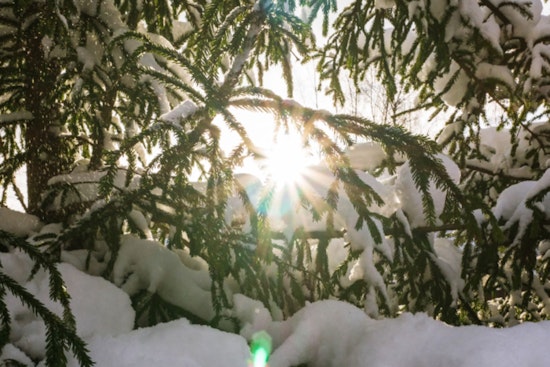 Houston Engages in a Temperature Tug-of-War with Warmth Today as a Weekend Cold Snap Looms on the Horizon
