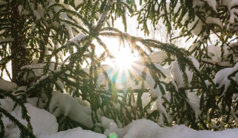 Houston Engages in a Temperature Tug-of-War with Warmth Today as a Weekend Cold Snap Looms on the Horizon
