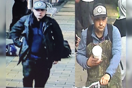 Houston Police Seek Suspect in Fatal Stabbing on METRO Rail, Public's Help Requested