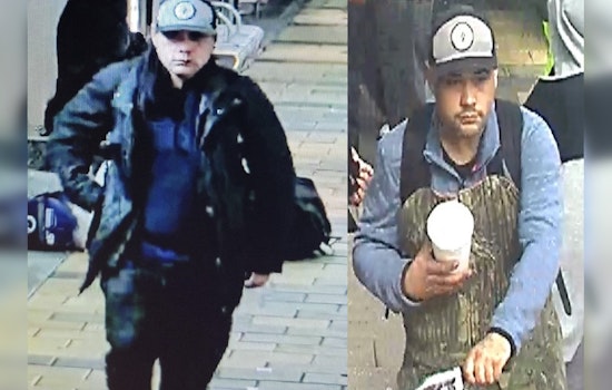 Houston Police Seek Suspect in Fatal Stabbing on METRO Rail, Public's Help Requested