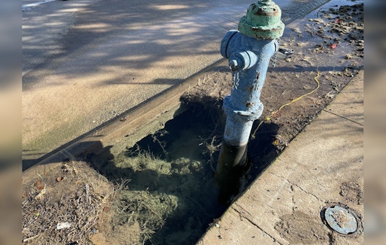 Houston Residents Frustrated with Water Leak Repairs Amidst Public Works Backlog and Scandal