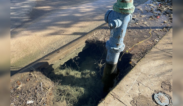 Houston Residents Frustrated with Water Leak Repairs Amidst Public Works Backlog and Scandal