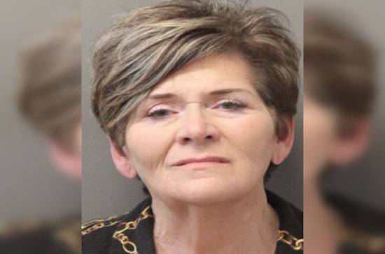 Houston Woman Accused of DUI and Biting Officer After Hit and Run Incident