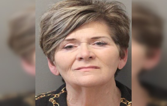 Houston Woman Accused of DUI and Biting Officer After Hit and Run Incident