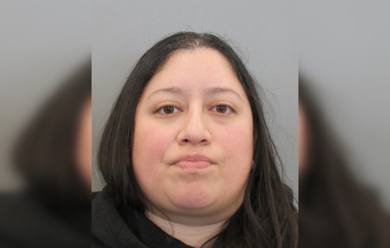 Houston Woman Charged in Aggravated Assault After Brother Critically Injured in Shooting