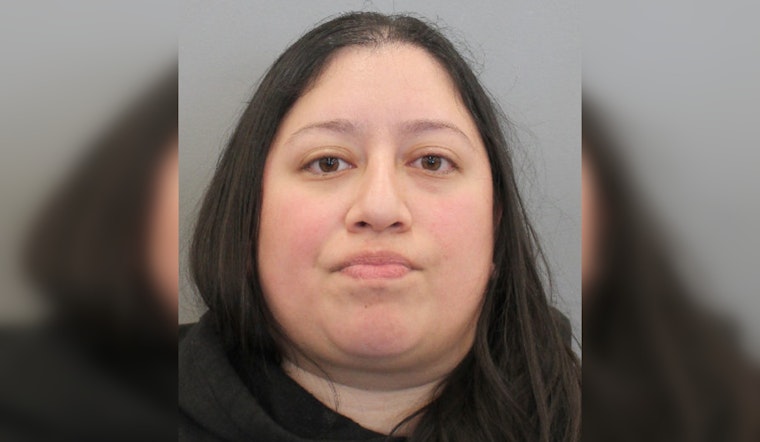 Houston Woman Charged in Aggravated Assault After Brother Critically Injured in Shooting