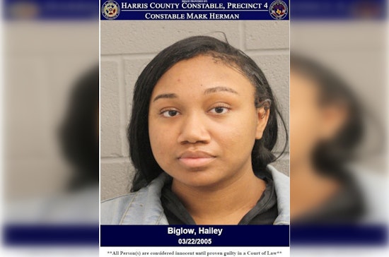 Houston Woman Charged with Theft After Allegedly Shoplifting at Target