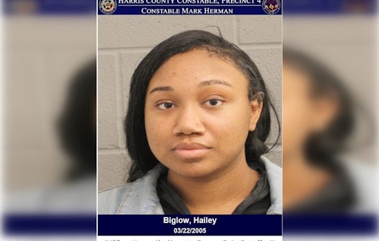 Houston Woman Charged with Theft After Allegedly Shoplifting at Target