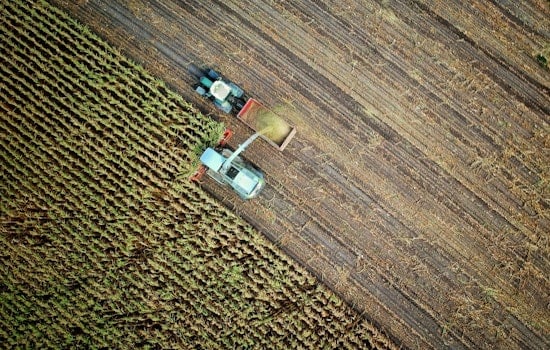 Illinois Farmers Tackle Gulf Dead Zone Runoff and Age Gap in Agricultural Workforce