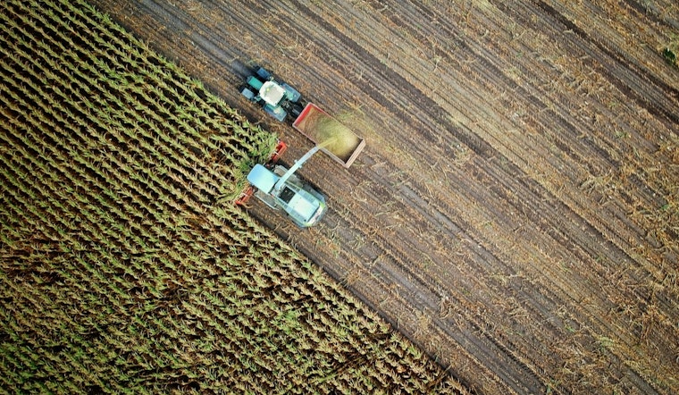 Illinois Farmers Tackle Gulf Dead Zone Runoff and Age Gap in Agricultural Workforce