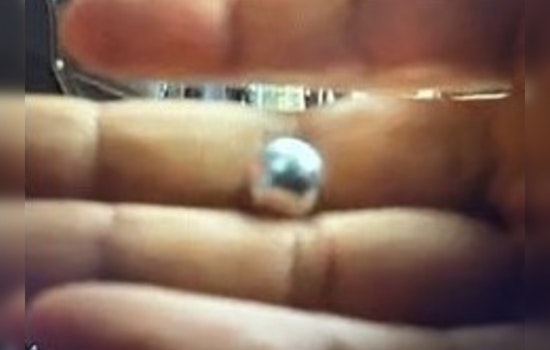 In Downtown LA, Protesters Struck by Metal Ball Bearings During Strike, LAPD Seeks Public's Aid