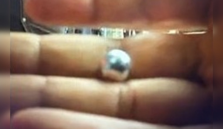 In Downtown LA, Protesters Struck by Metal Ball Bearings During Strike, LAPD Seeks Public's Aid