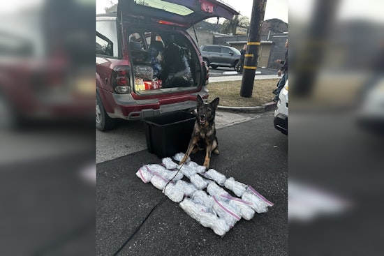 K9 Officer Keisa Sniffs Out 20 Pounds of Meth as LAPD Dismantles Multistate Drug Ring