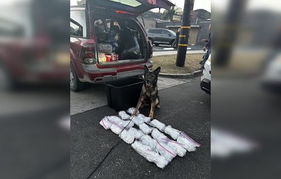 K9 Officer Keisa Sniffs Out 20 Pounds of Meth as LAPD Dismantles Multistate Drug Ring